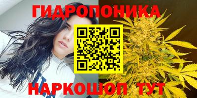 тгк Дубна