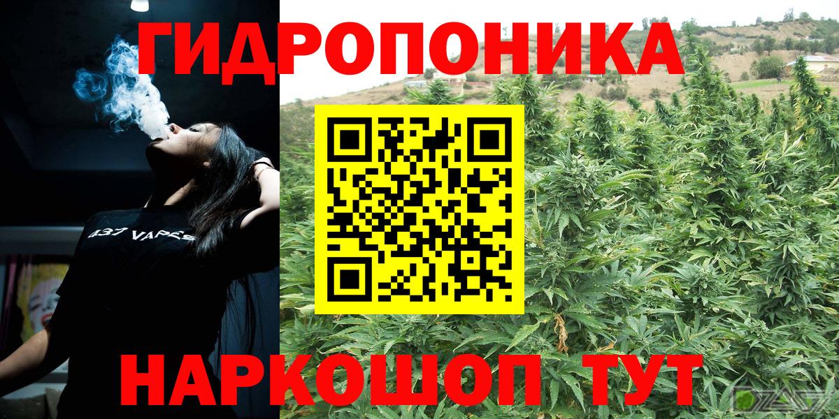 Канабис семена Нефтекумск